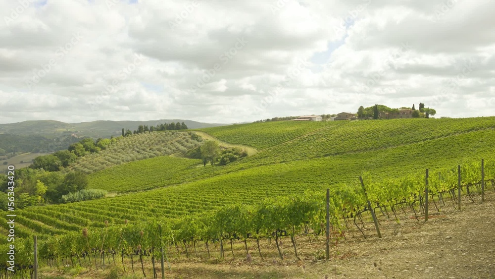Tuscany vineyards timelapse Tuscany vineyards timelapse