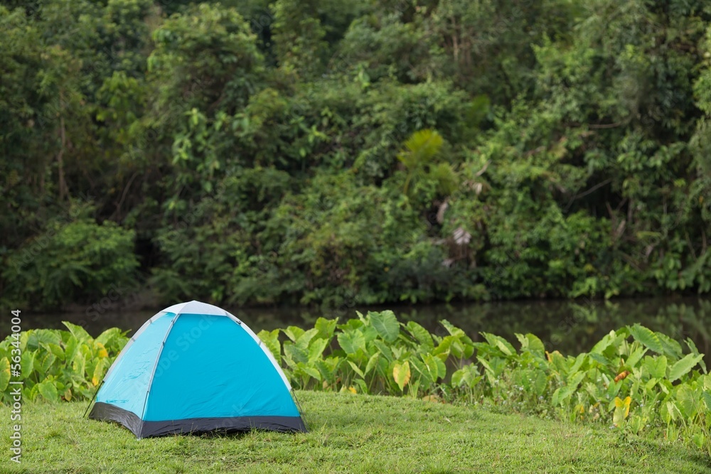 Tent in wild nature