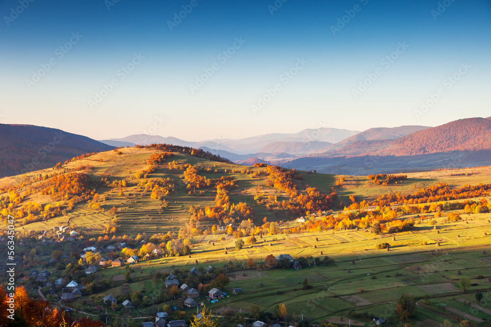 Fototapeta premium autumn