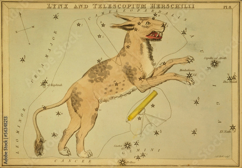 Astronomical chart,vintage
