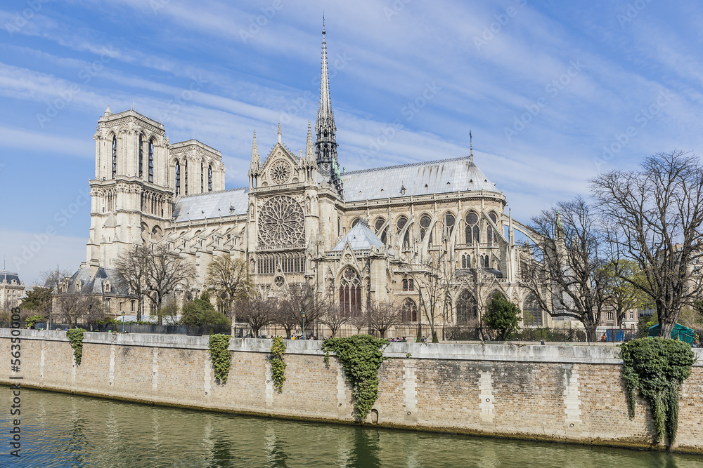 Fototapeta premium Famous Gothic Roman Catholic Cathedral Notre Dame de Paris.