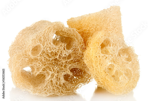 Obraz na płótnie Loofah isolated on white