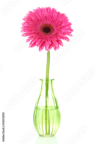 Fototapeta Naklejka Na Ścianę i Meble -  Beautiful pink gerbera flower in vase isolated on white