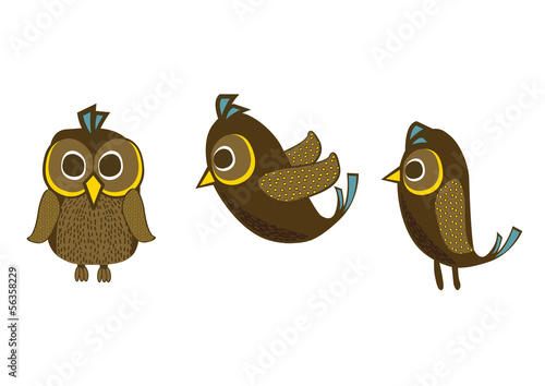 Pitta gurney bird vector