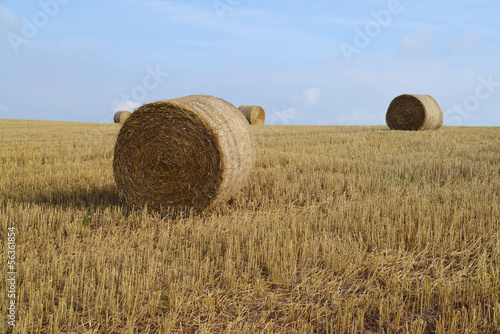 harvested field with straw bales in autumn
