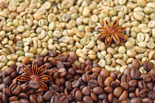 Green and brown coffee beans with anise stars