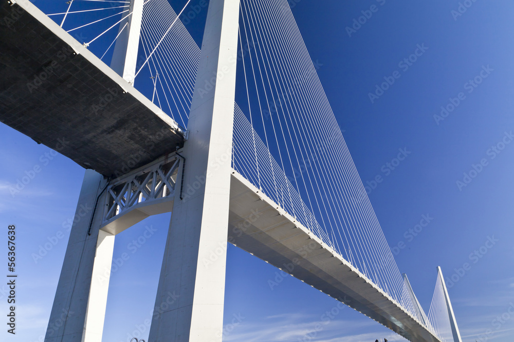 Naklejka premium Duży wiszący most