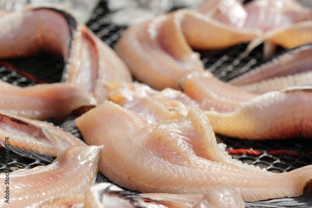 Snakeskin gourami fish drying in the outside
