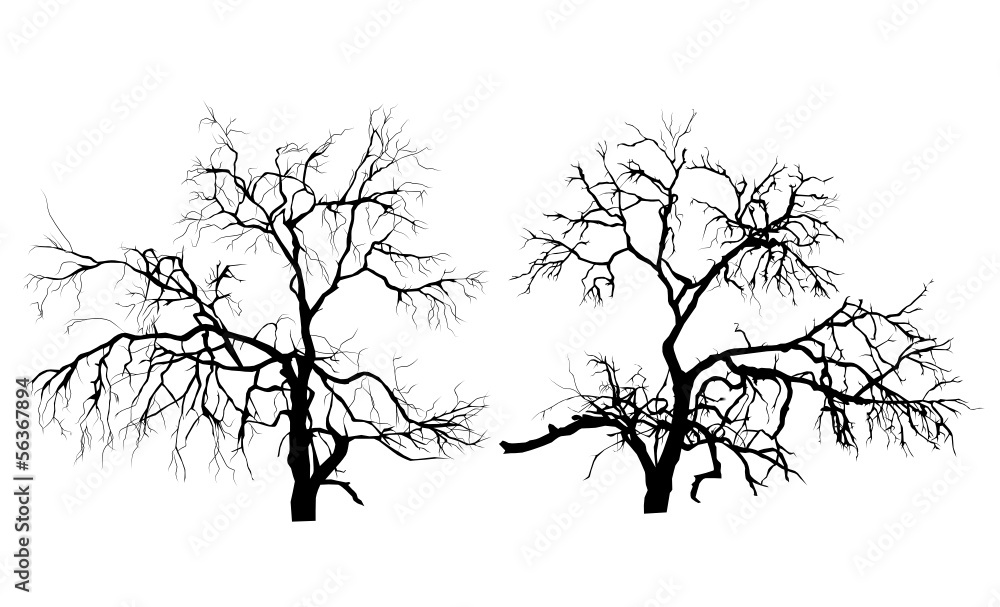 Obraz premium Two dead trees without leaves