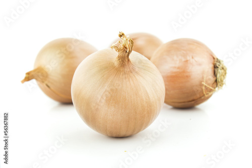 Ripe golden onions