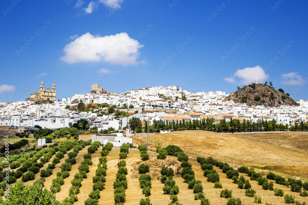 Olvera, beautiful  village located in Cadiz, Spain.