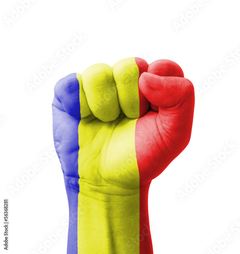 Fist of Romania flag painted, multi purpose concept