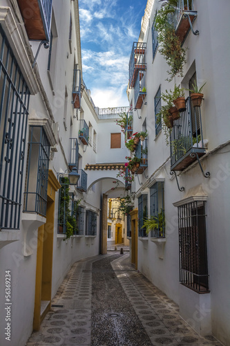 Fototapeta Naklejka Na Ścianę i Meble -  Calle del barrio de la judería en Córdoba - España