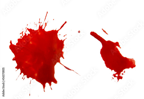 Blood