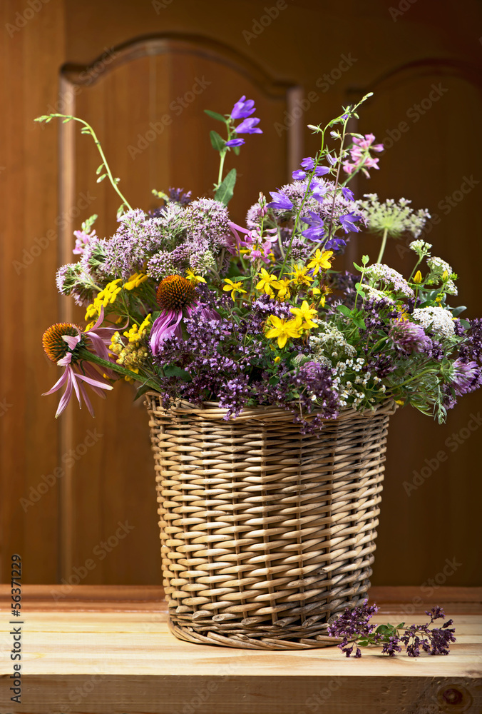 Bouquet of medicinal herbs on a wooden background