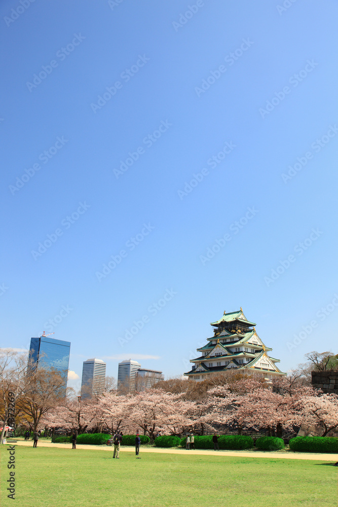 大阪城と桜