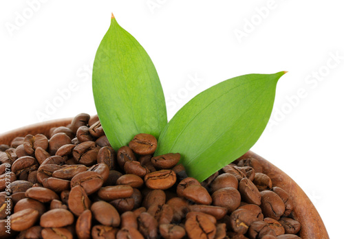 Coffee beans in bowl isolated on white