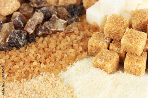 Different types of sugar close-up