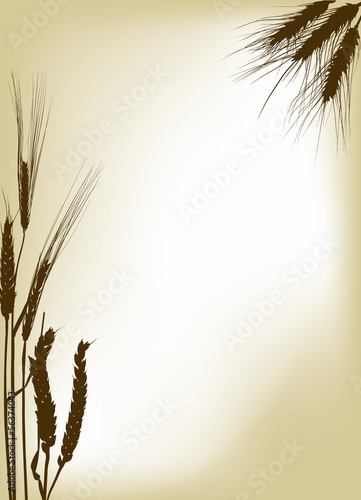 wheat and barley frame pattern