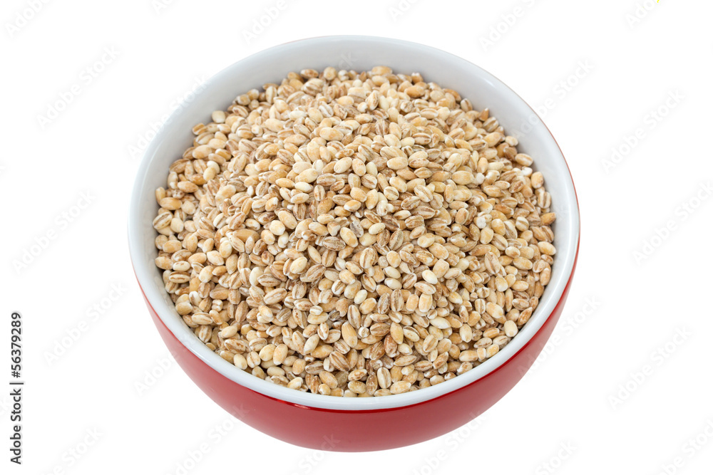 pearl barley in red bowl on red background pearl barley in red bowl on red background