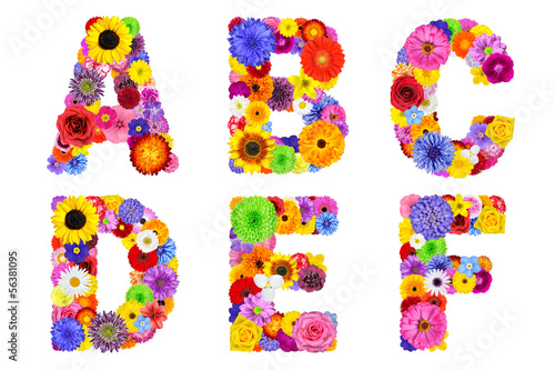 Fototapeta Naklejka Na Ścianę i Meble -  Floral Alphabet Isolated on White - Letters A, B, C, D, E, F