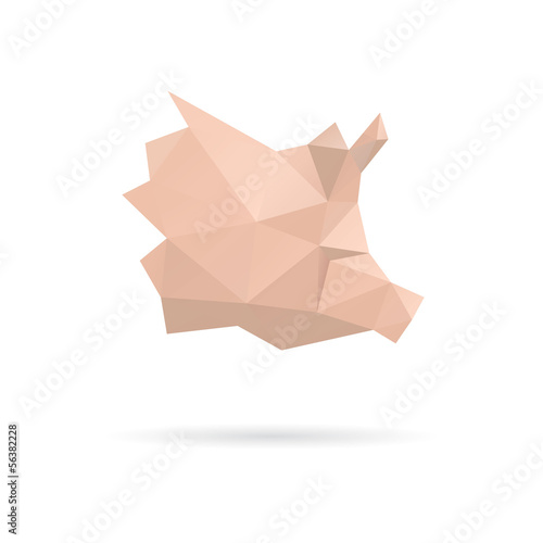 Pig head abstract isolated on a white backgrounds