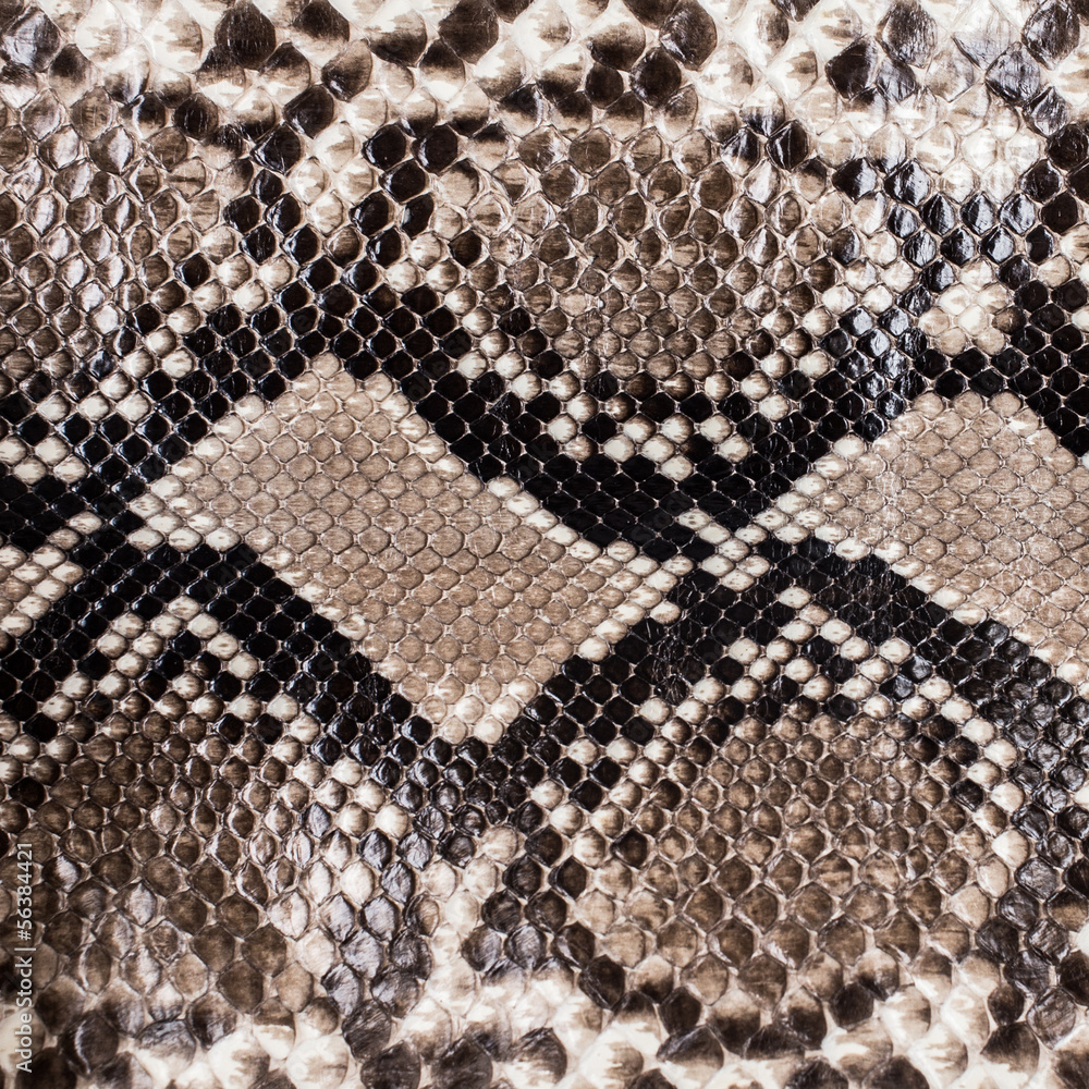 Snake skin pattern background Snake skin pattern background