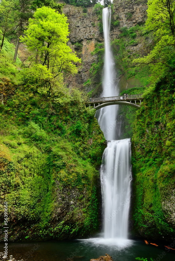 Multhnomah-falls. USA. Oregon state. - obrazy, fototapety, plakaty 