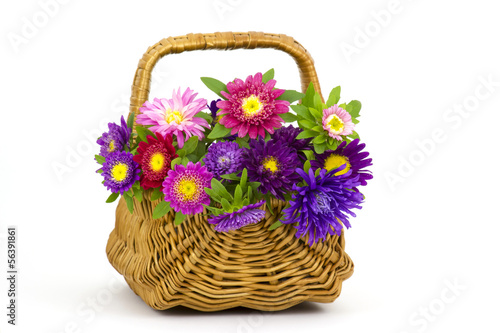 Fototapeta Naklejka Na Ścianę i Meble -  Bouquet of colorful asters flowers in a basket on white backgrou