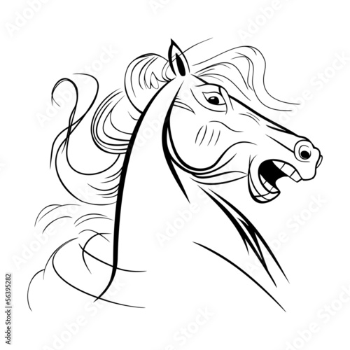 Unbridled wild neighing horse close up head
