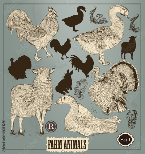 Collection of high detailed hand drawn animals in vintage style