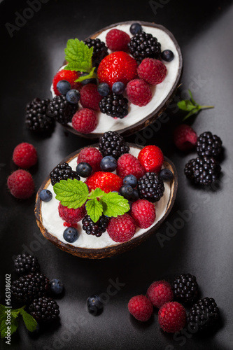 Sorbet for Christmas with forest fruit