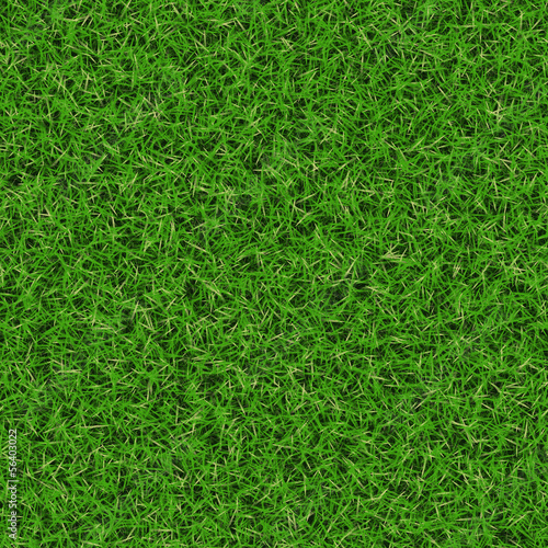 Bright Green Grass