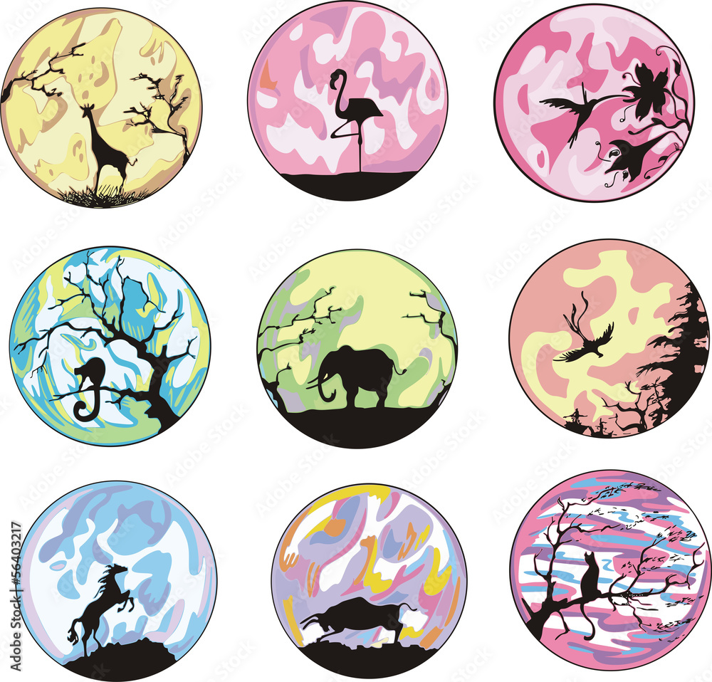 Miscellaneous animal dingbats Miscellaneous animal dingbats