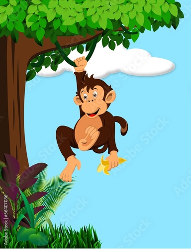 Funny monkey cartoon in the forest