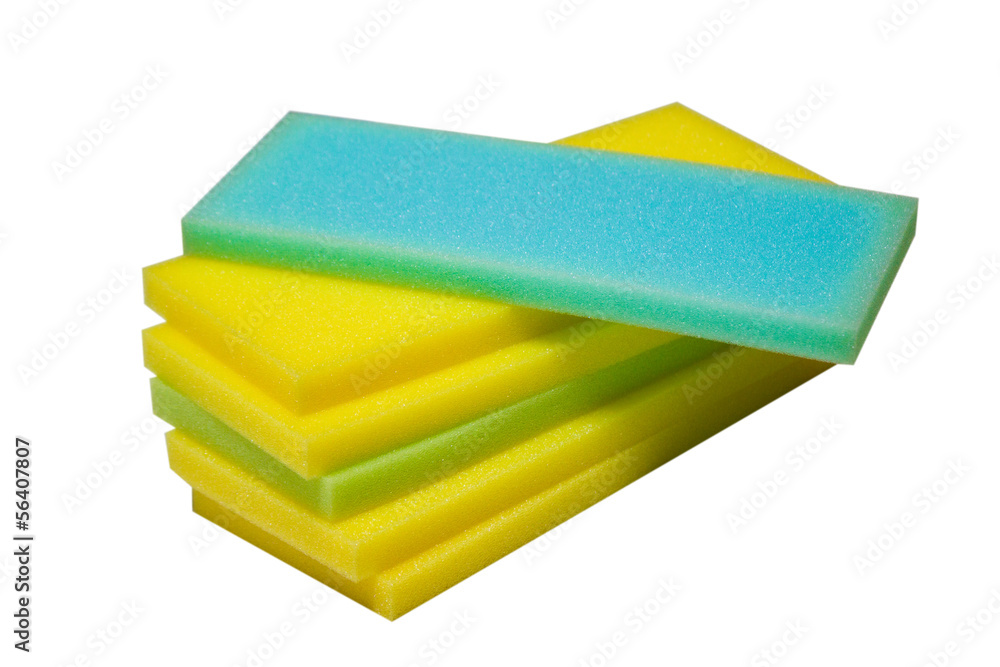 sponge sponge