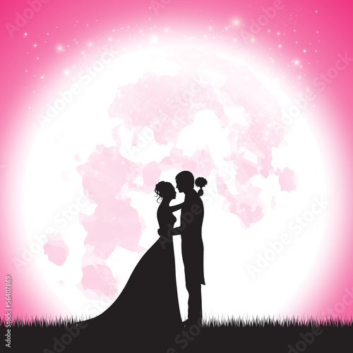 Wedding at the moon pink vector