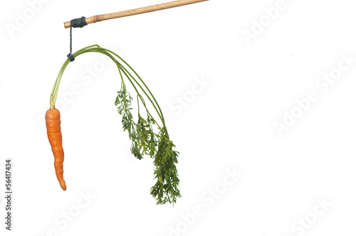 dangle a carrot on a stick as an incentive