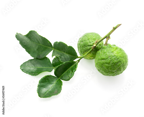 Kaffir Lime with leaves on white background.