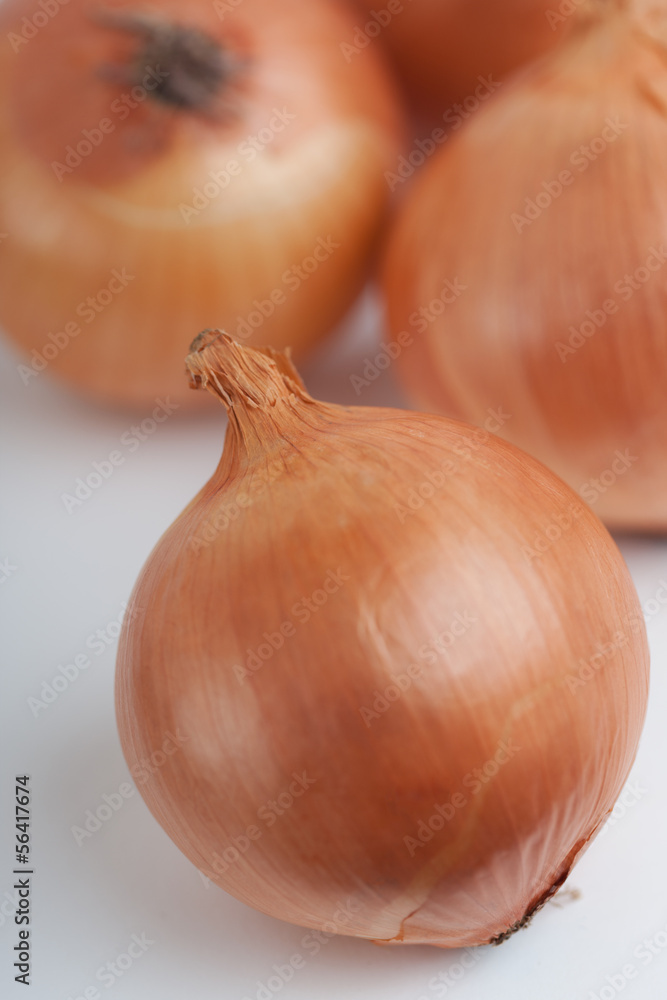 Fototapeta premium タマネギ