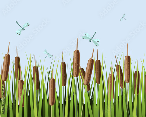 cane