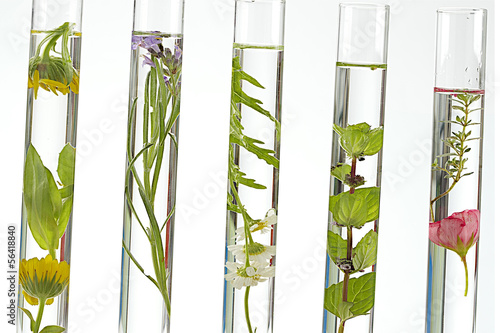 Fototapeta Naklejka Na Ścianę i Meble -  Aromathérapie - Symbole