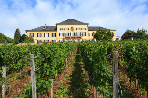 Schloss Johannisberg  Rheingau  - September 2013