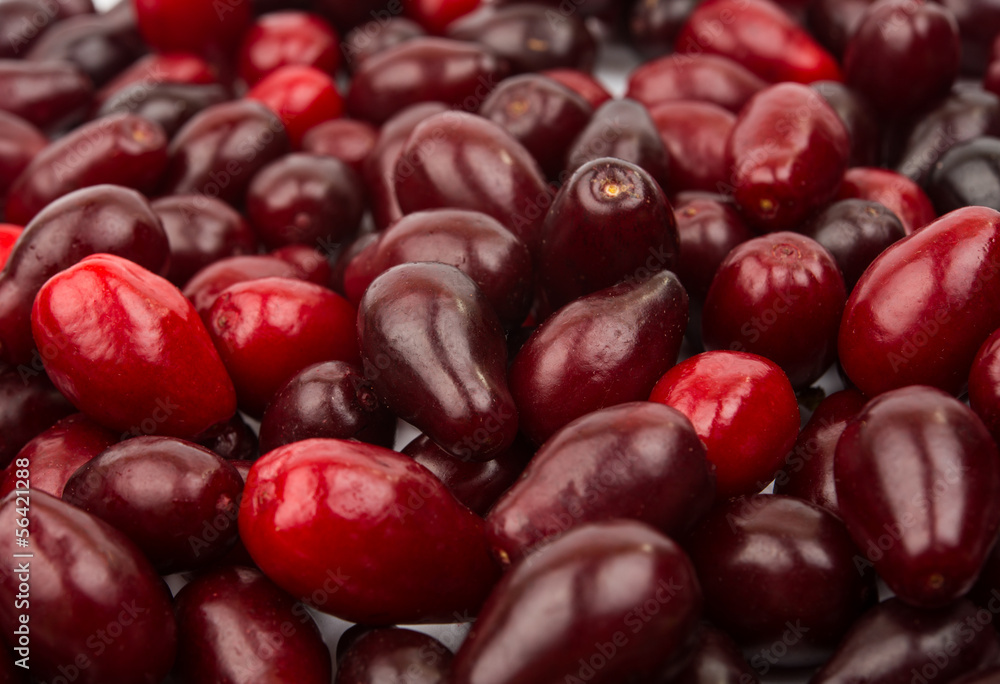 Fresh Cornelian cherries background Fresh Cornelian cherries background