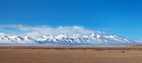 Panorama of Mountain landscape and drove of Kiangs in Tibet