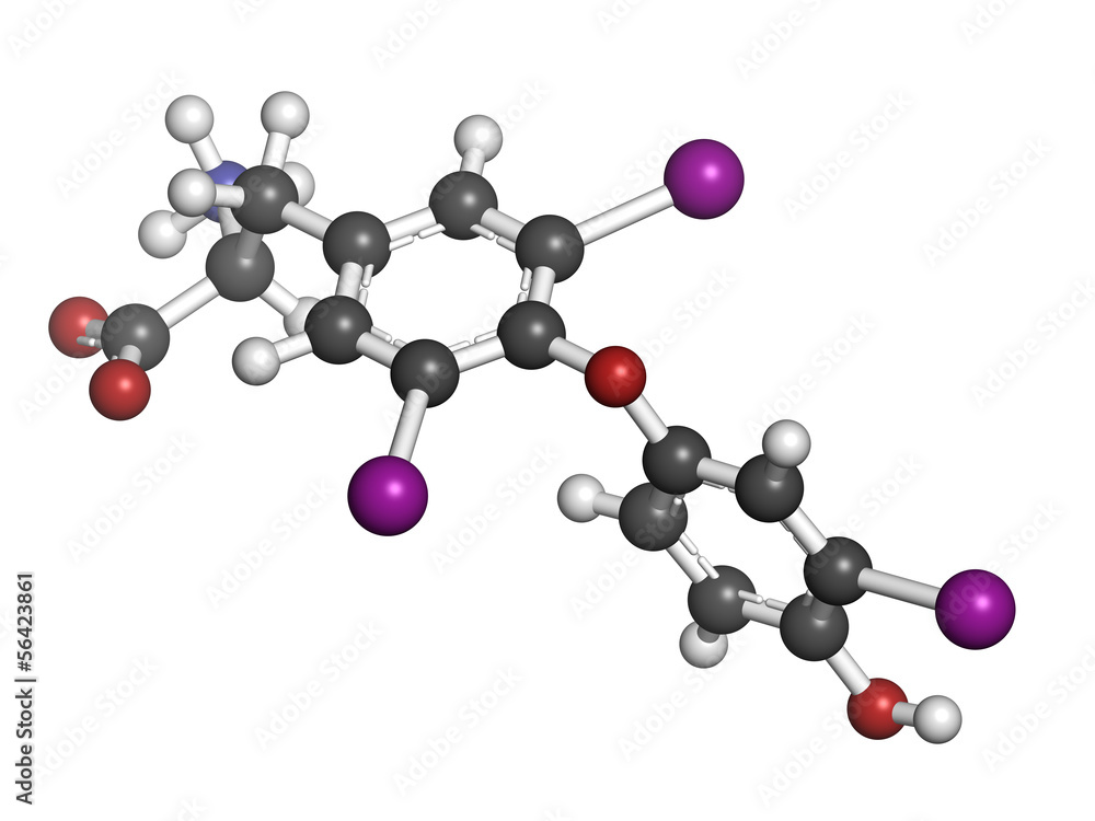 Triiodothyronine hormone (t3, liothyronine) molecule Triiodothyronine hormone (t3, liothyronine) molecule
