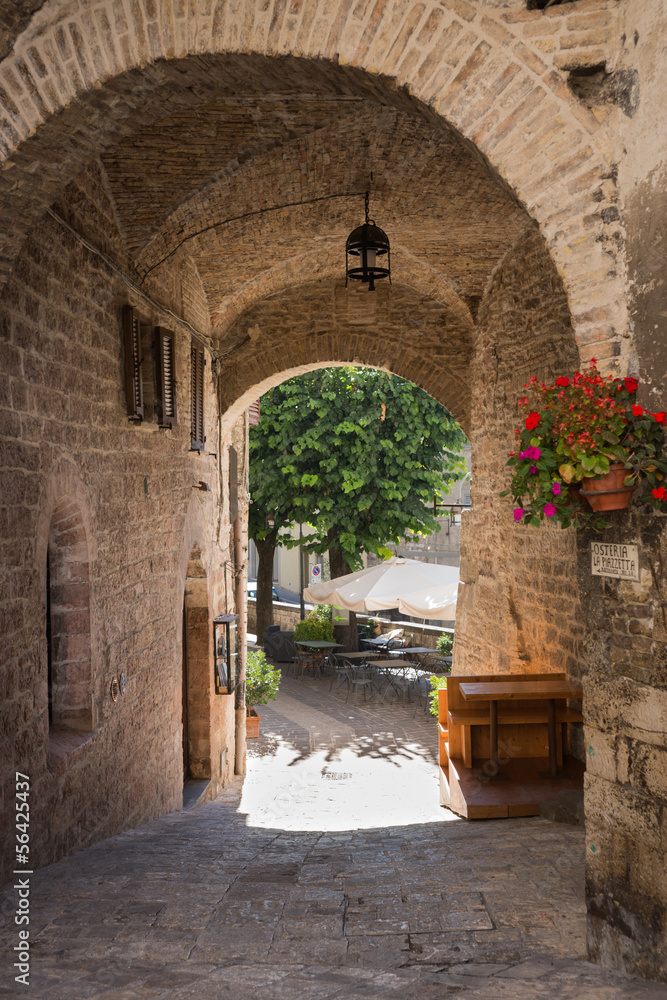 Fototapeta premium Aleja, Asyż