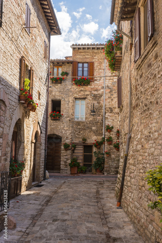 Fototapeta Naklejka Na Ścianę i Meble -  Vicolo medievale, Assisi