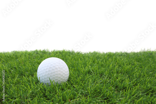 White golf ball on green grass field.
