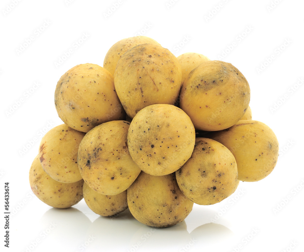 Wollongong on white background